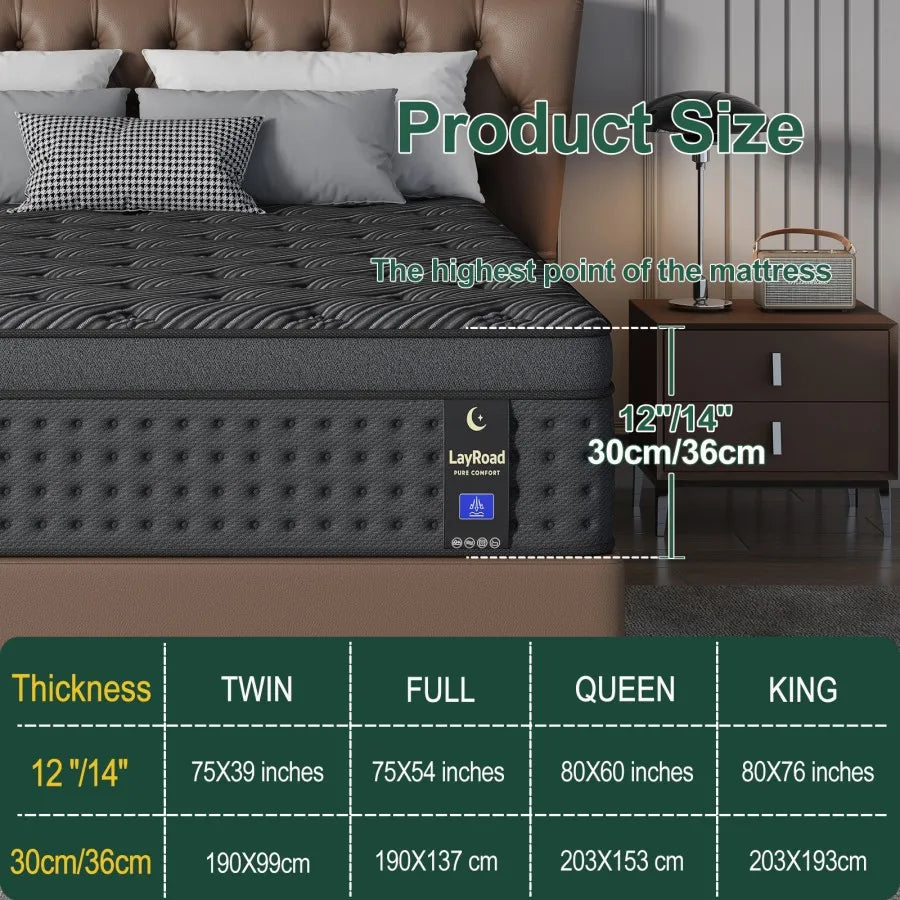 12 " Memory Foam Hybrid Box Spring Mattress Available in Twin, Full, Queen, and King Size Medium Firm