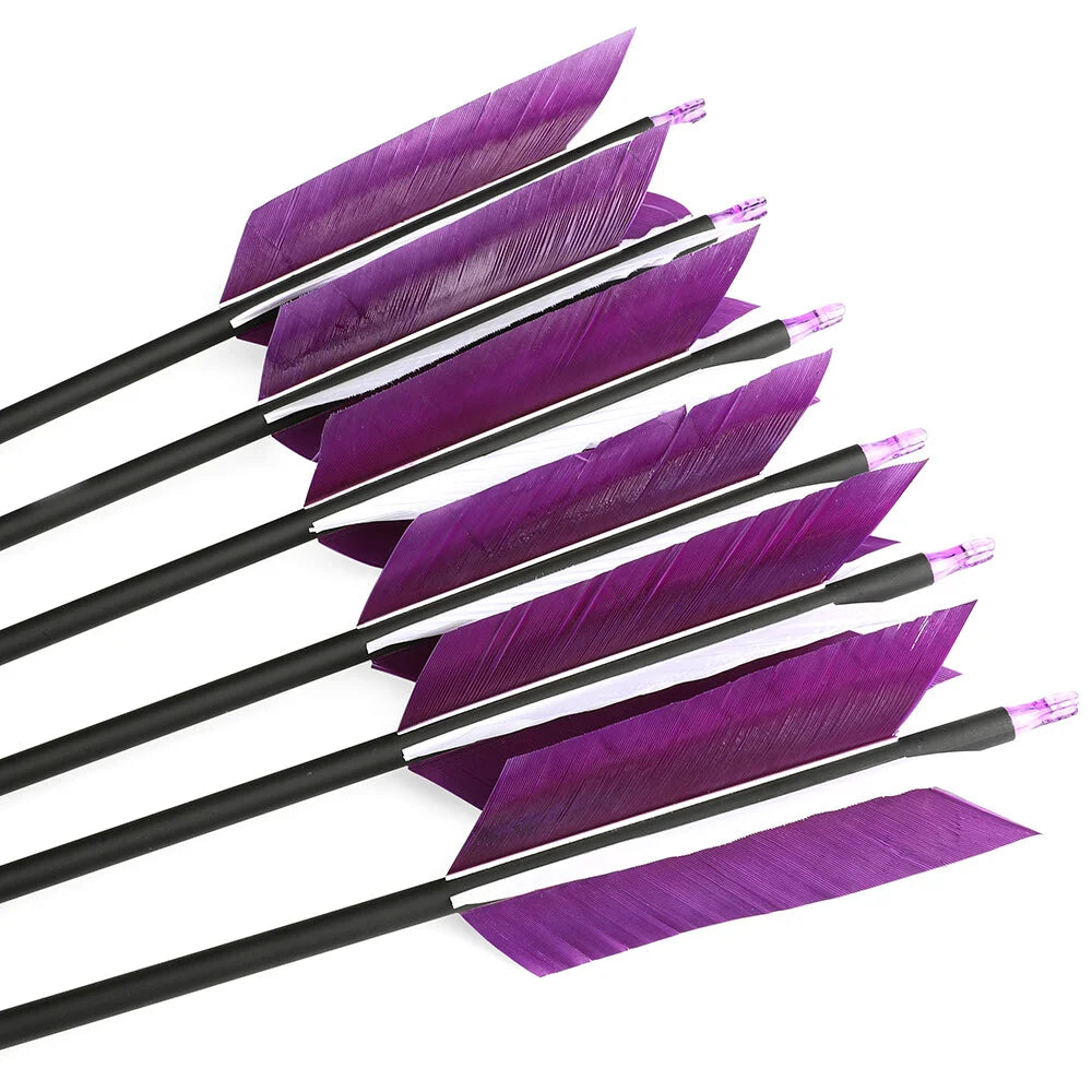 Mixed Carbon Arrows 12pcs 31.5inch