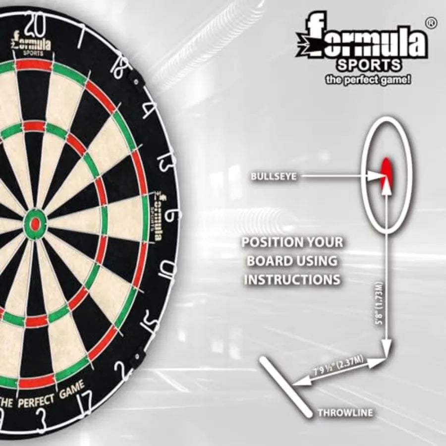 Dart Board with 12 Steel Tips