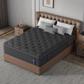 12 " Memory Foam Hybrid Box Spring Mattress Available in Twin, Full, Queen, and King Size Medium Firm