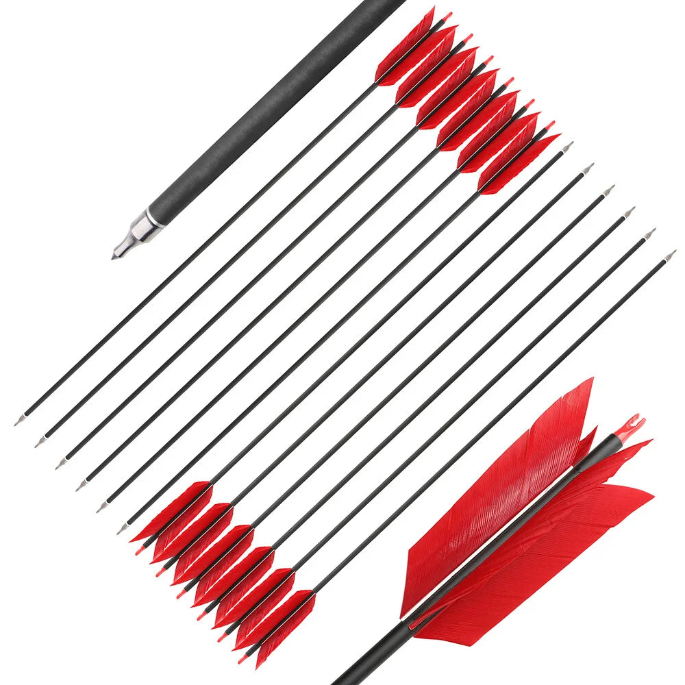 Mixed Carbon Arrows 12pcs 31.5inch