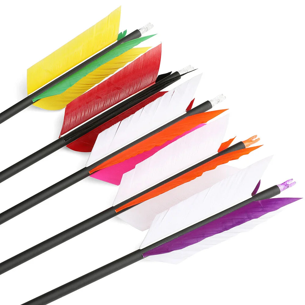 Mixed Carbon Arrows 12pcs 31.5inch